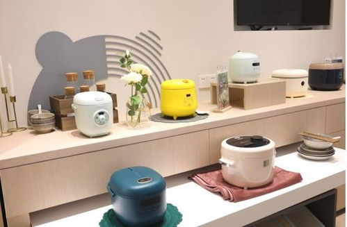 失去了年轻人的宠爱，小家电行业该如何破局？