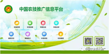 互联网 农技推广 服务 三农 全天候